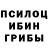 Галлюциногенные грибы прущие грибы Pepegammer