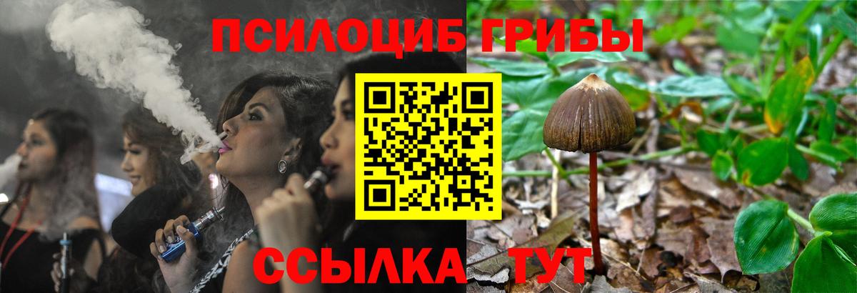 Галлюциногенные грибы Белебей