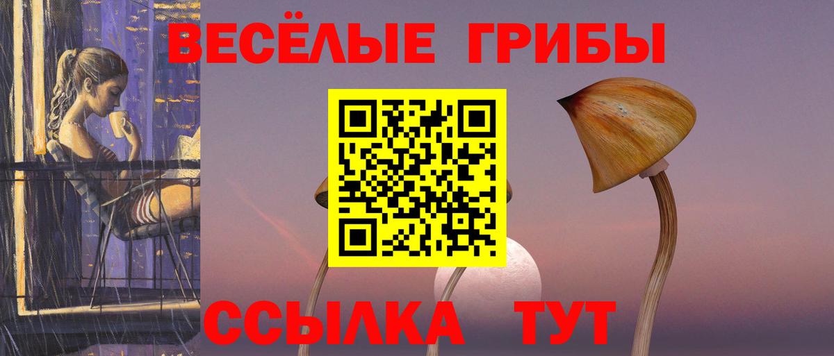 Псилоцибиновые грибы Psilocybe Белебей